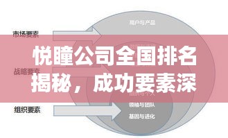 悦瞳公司全国排名揭秘,成功要素深度剖析