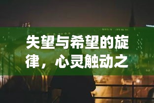 失望与希望的旋律,心灵触动之歌的探寻之旅